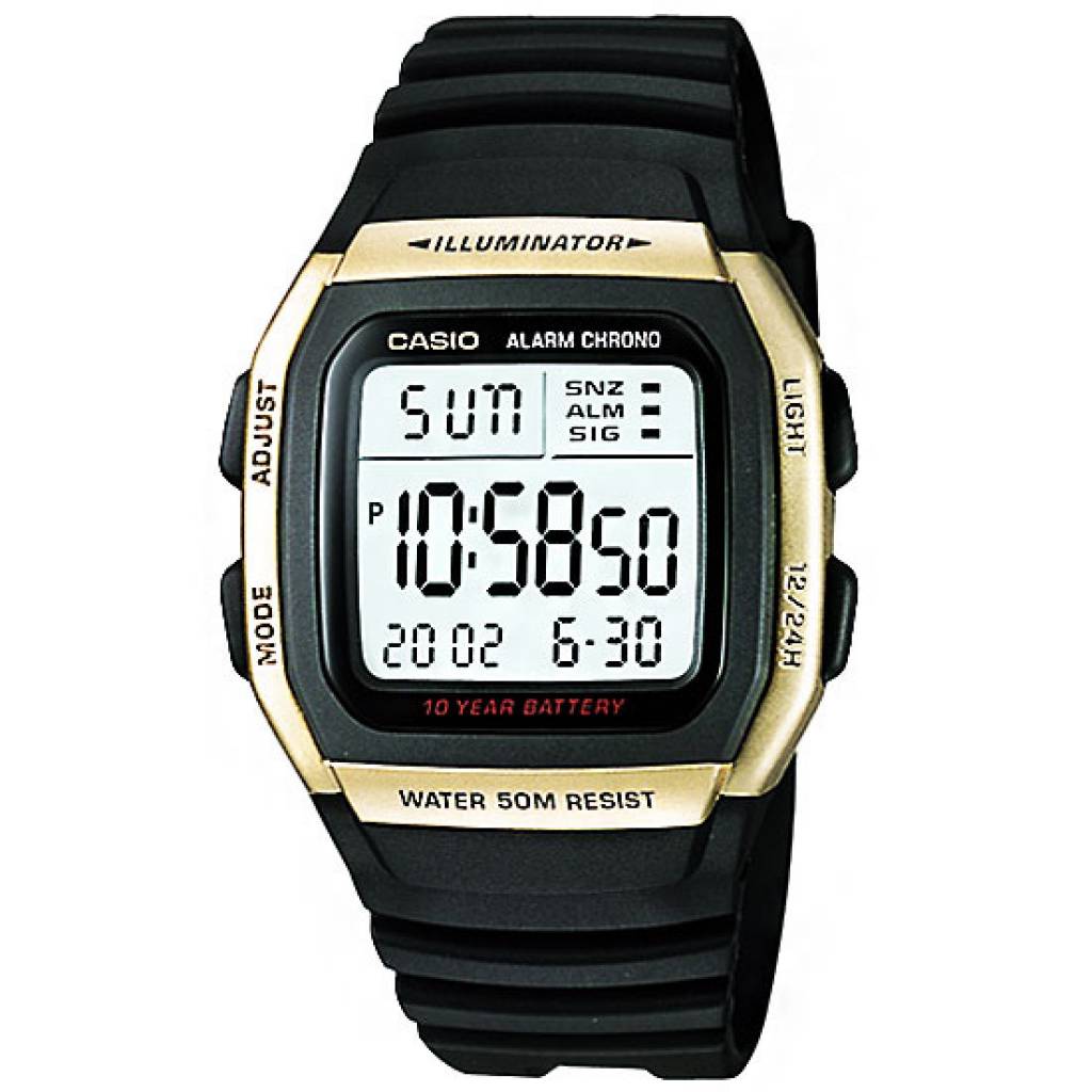 casio pro trek battery