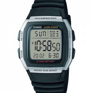 Casio 10 year battery W96H-1AVDF